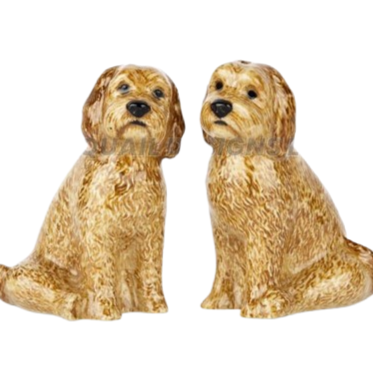 Cockapoo