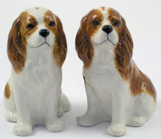 Cavalier King Charles Blendheim