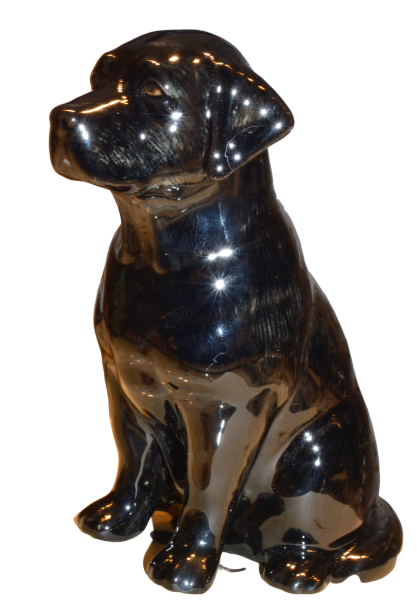Sort Labrador